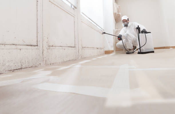 Trusted Commercial Mold Remediation service in Chester, NJ - WQB Mold Removal