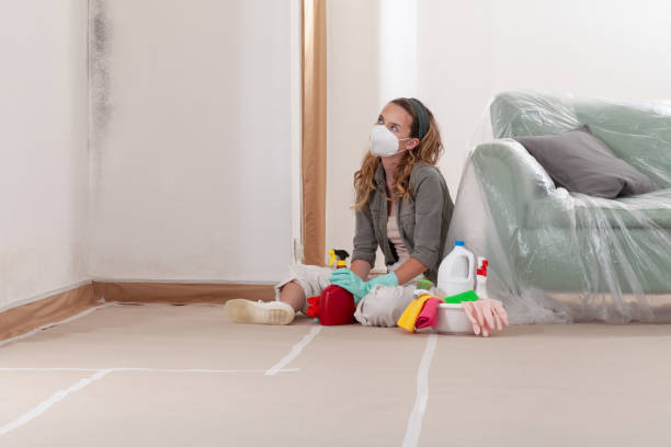 Reliable Commercial Mold Remediation contractor in Chester, NJ by WQB Mold Removal